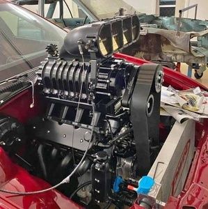 Meet your Posher, Dan